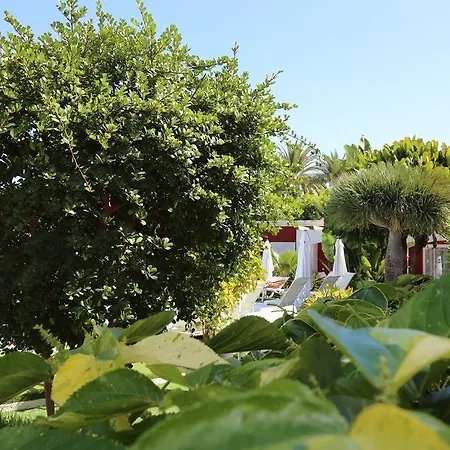 Village de vacances Boys Gay Men Only Maspalomas (Gran Canaria)